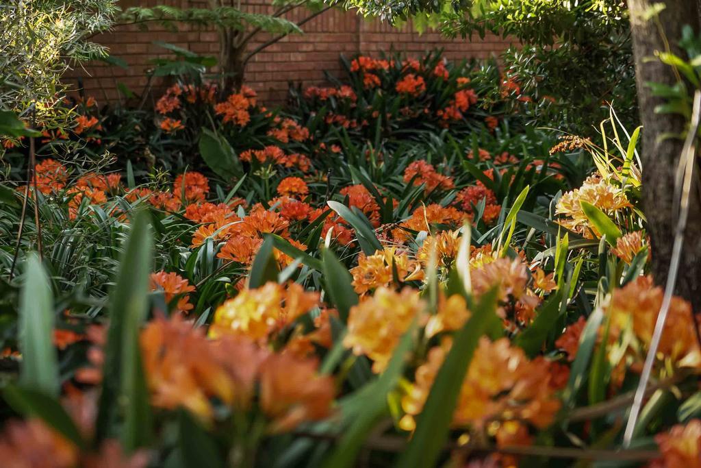 Hudson House Otel Pretoria-Noord Dış mekan fotoğraf